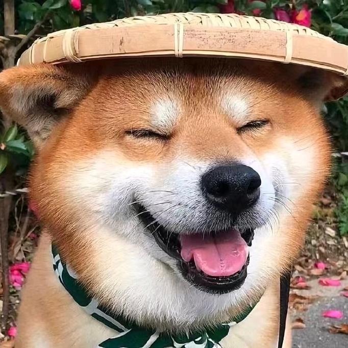 斯人若彩虹，遇上方知有