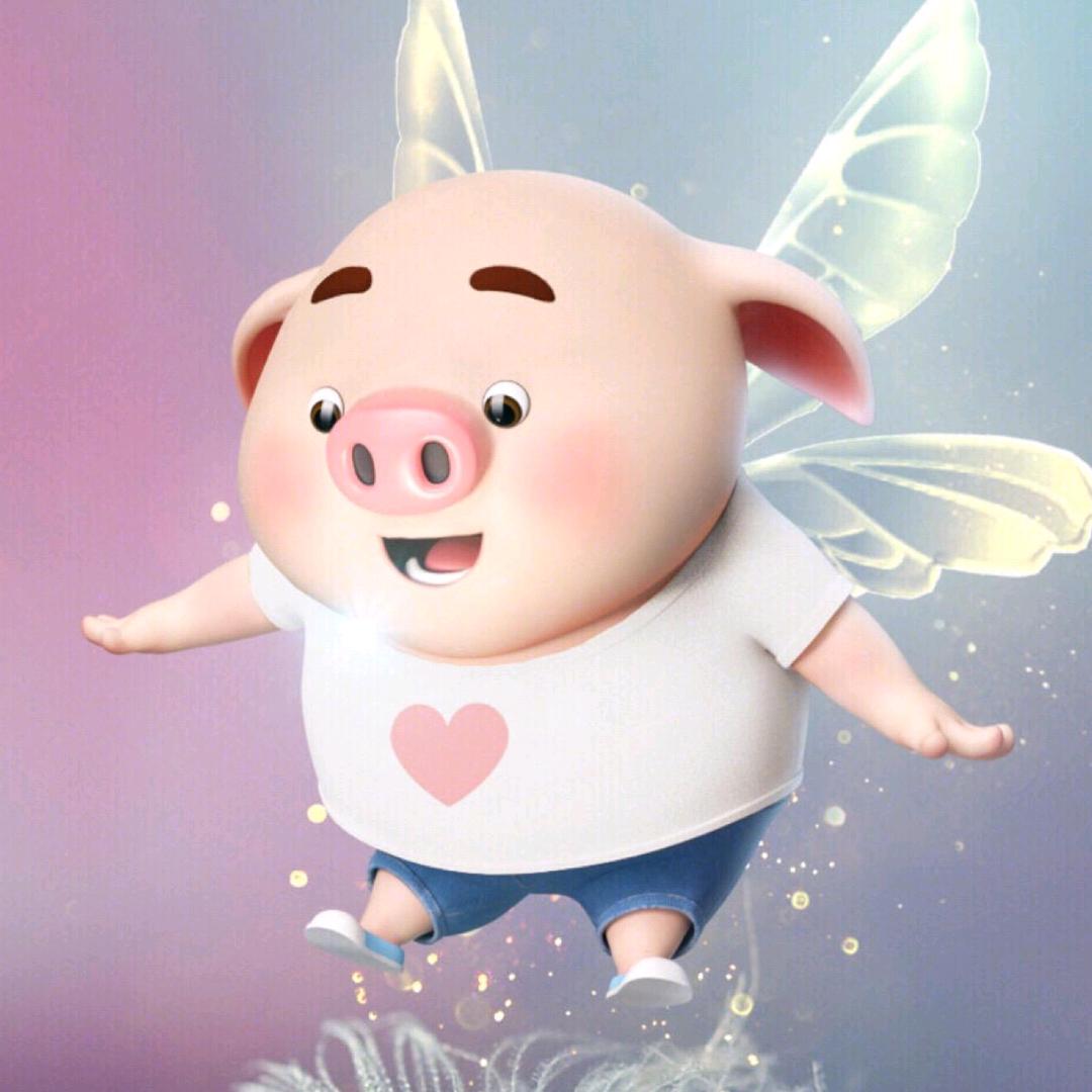 福猪猪🐷