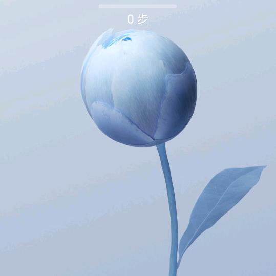 青瓜啊番