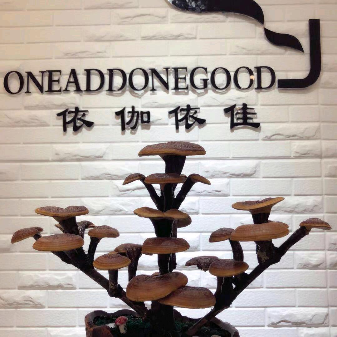 依伽依佳女装～娟子