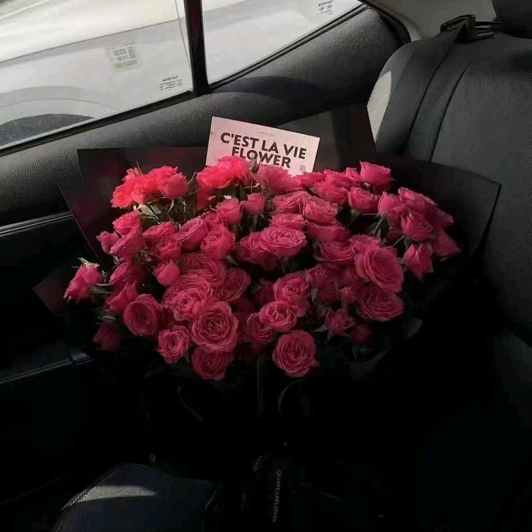 啦啦💕