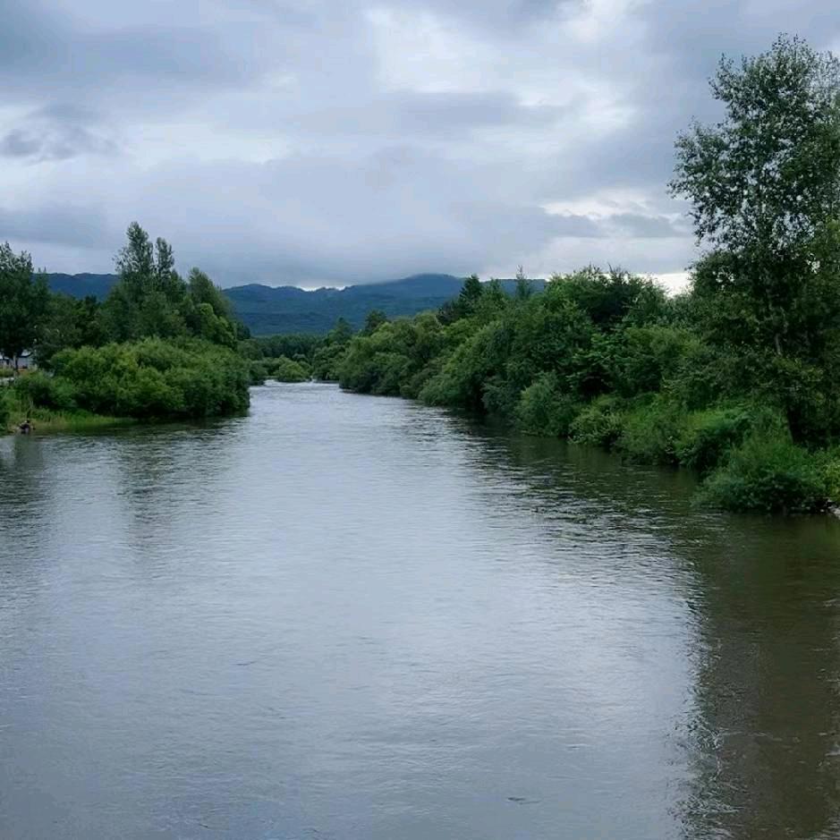浪漫在牛A和牛C之间得瑟的人