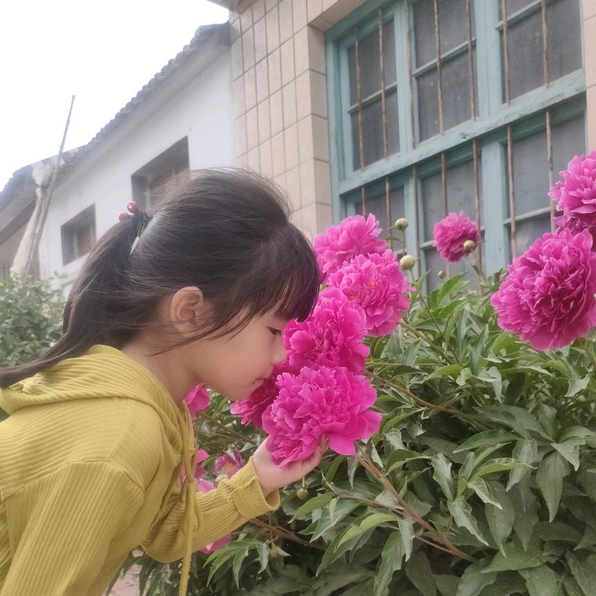 心心相印61161