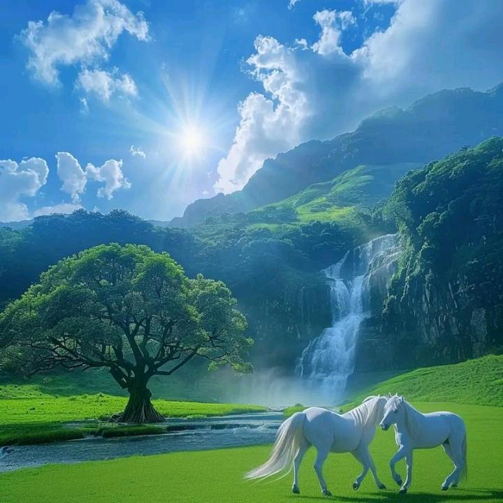 刘佳（安静生长，默然绽放）