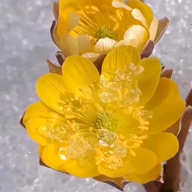 阳光照射