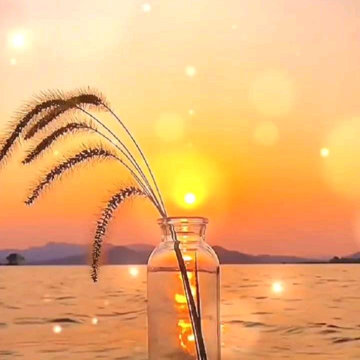 圆梦