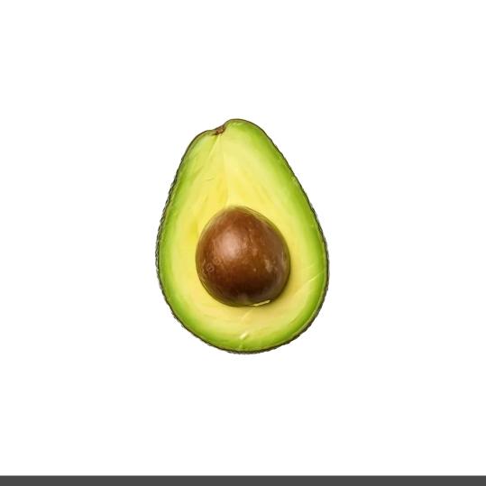 全休止符  🎤🎹