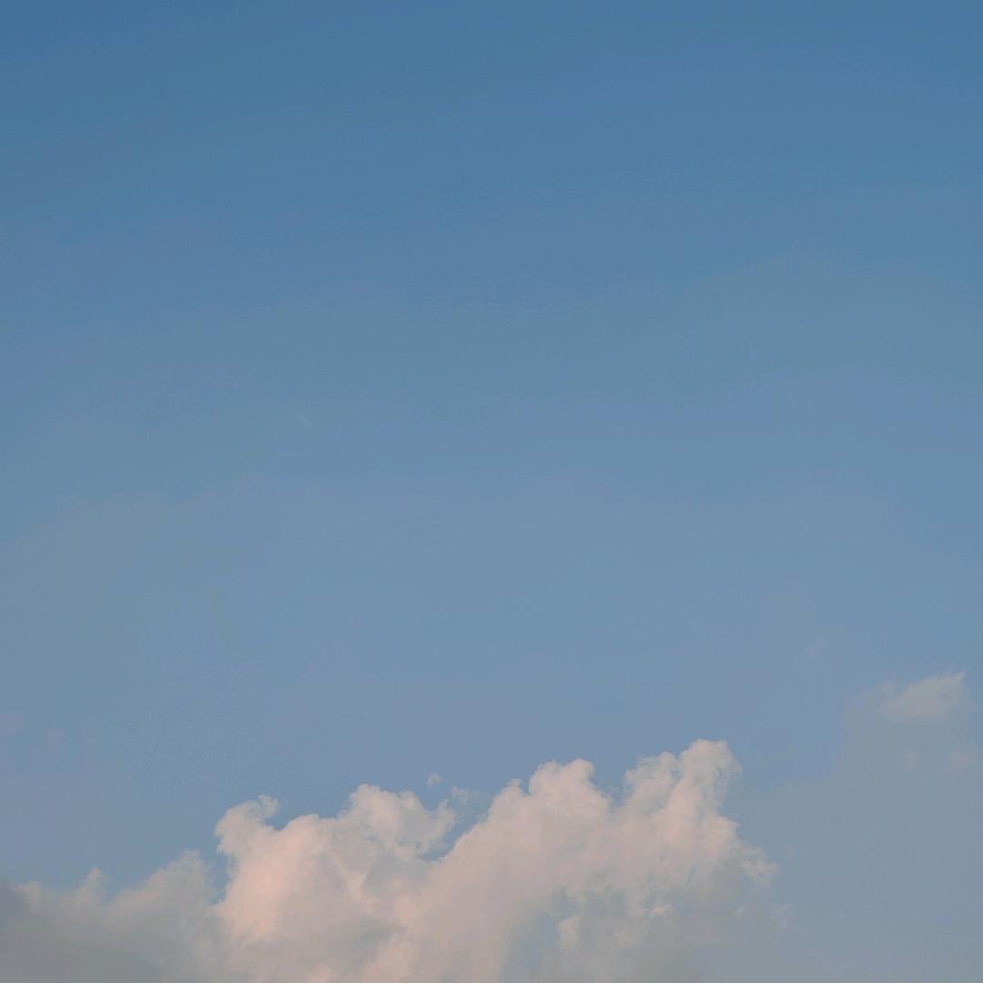 🌈绿肥红瘦🌈🌈