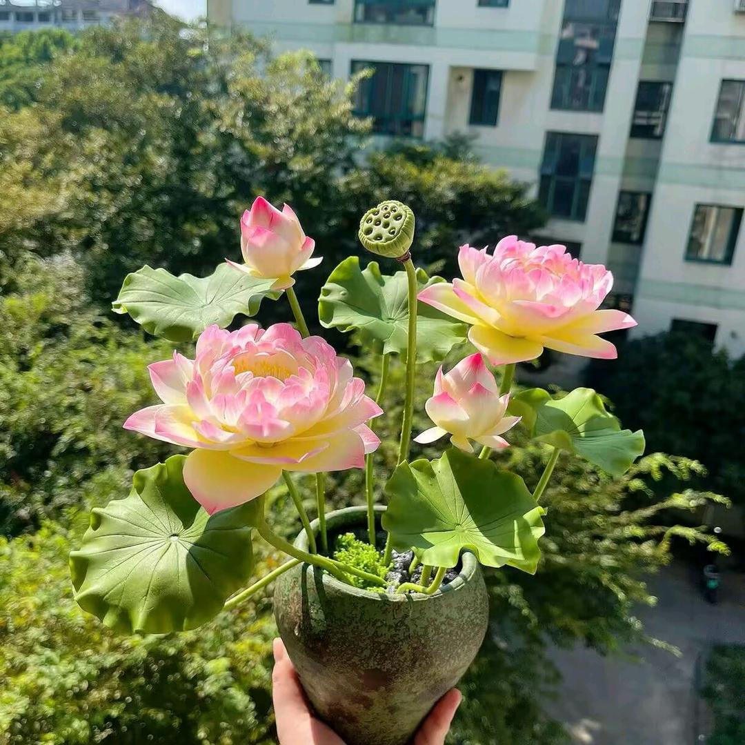 上海公出租寓