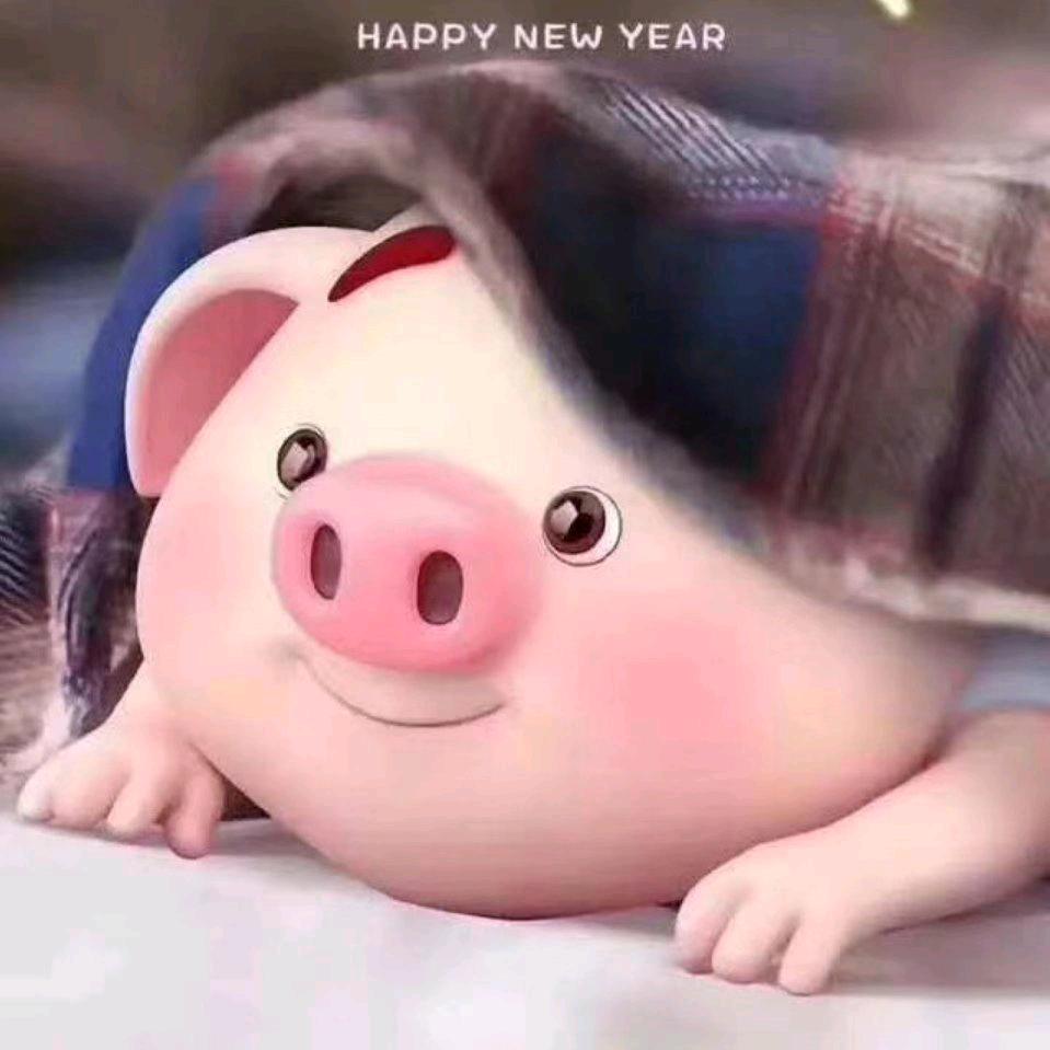 心如止水