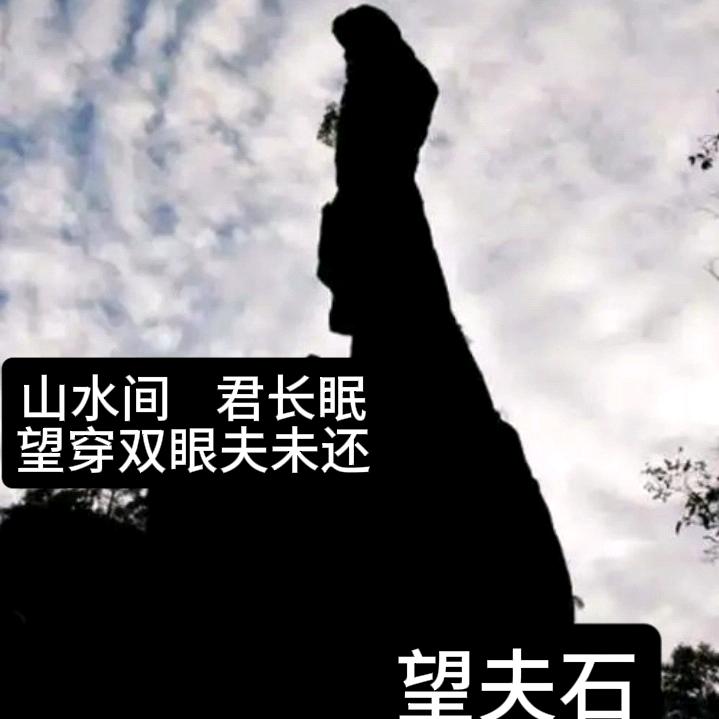 夏雪殇痛