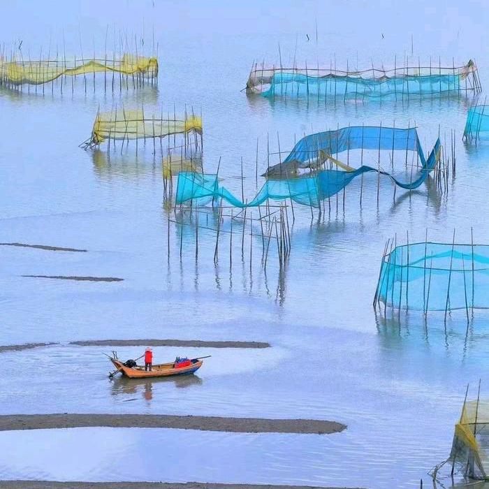 随缘