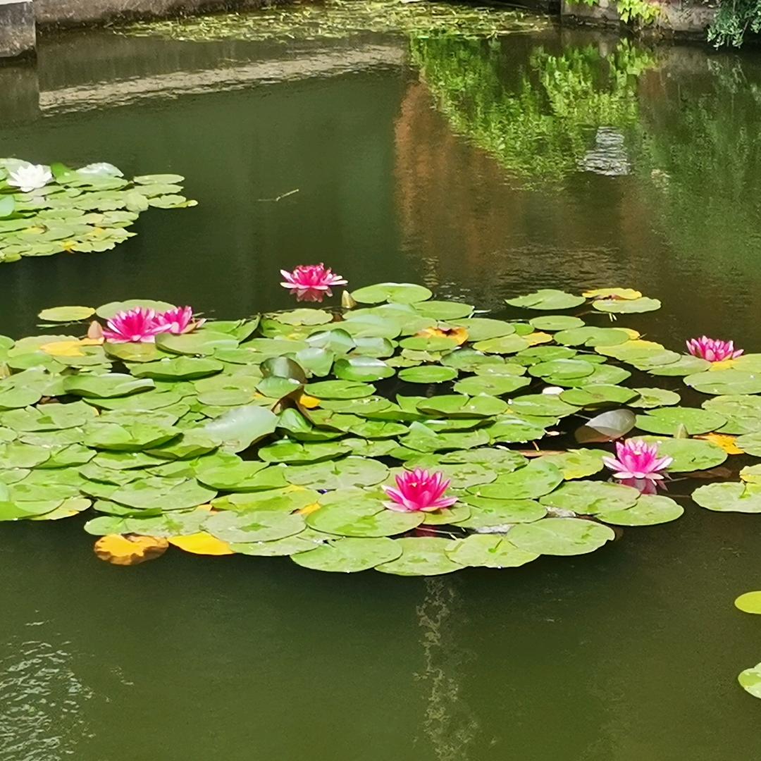 國