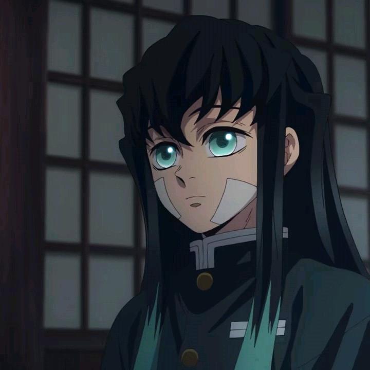 多肉为什么不是肉