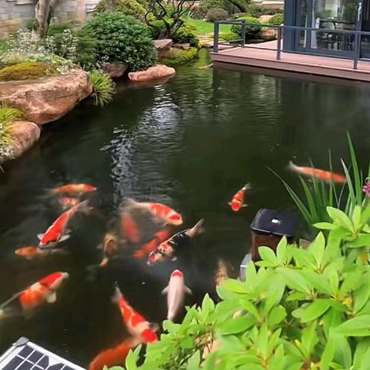 周易八卦人文风水交流