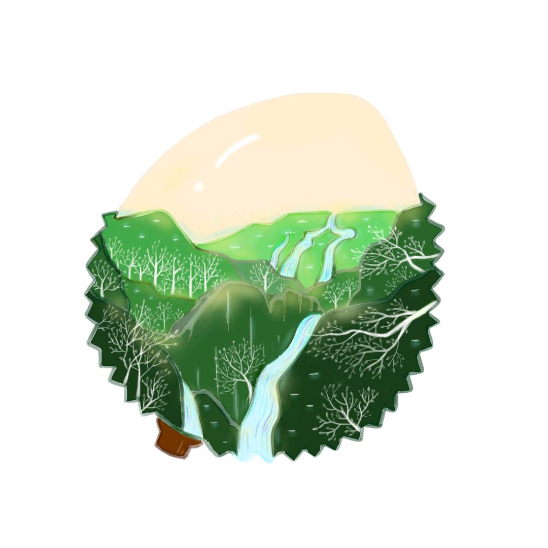 荔乡山果