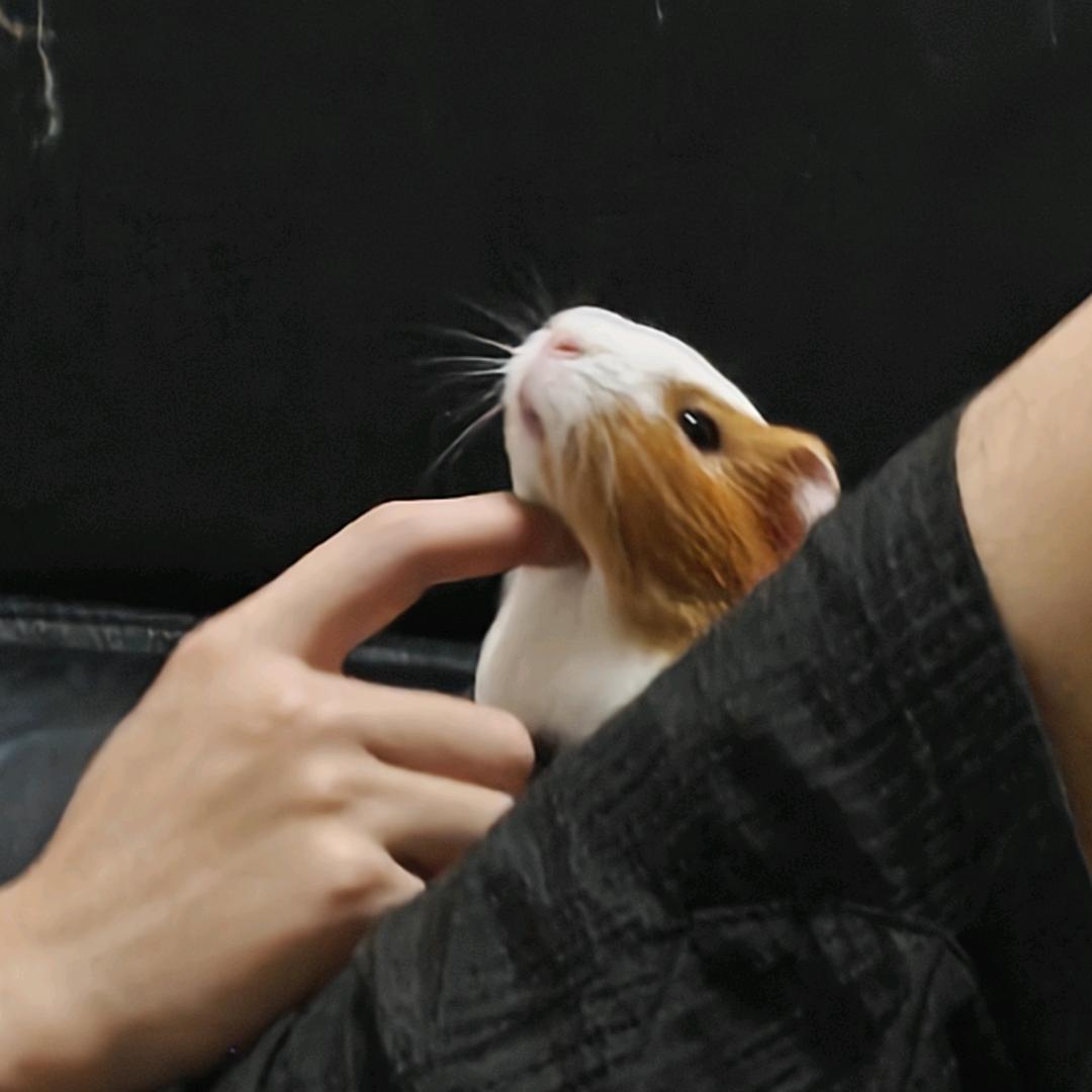 麻薯
