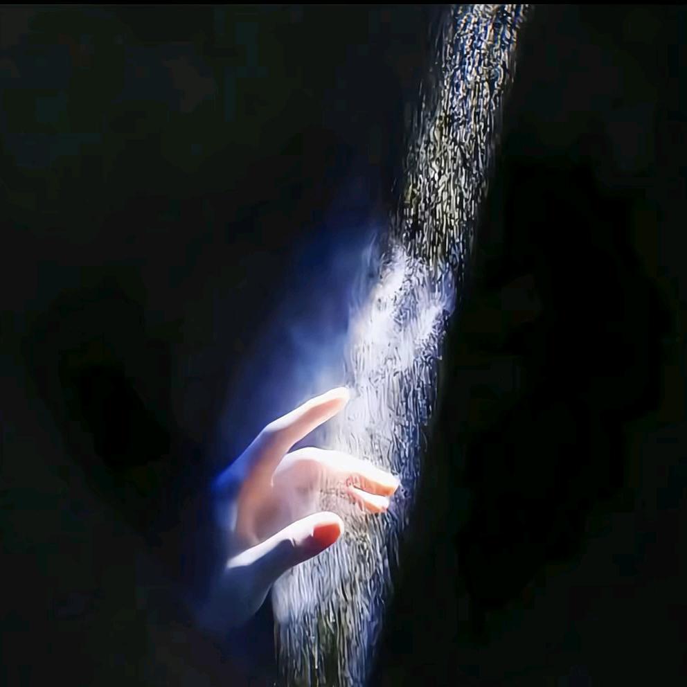 青青子衿（课代表）