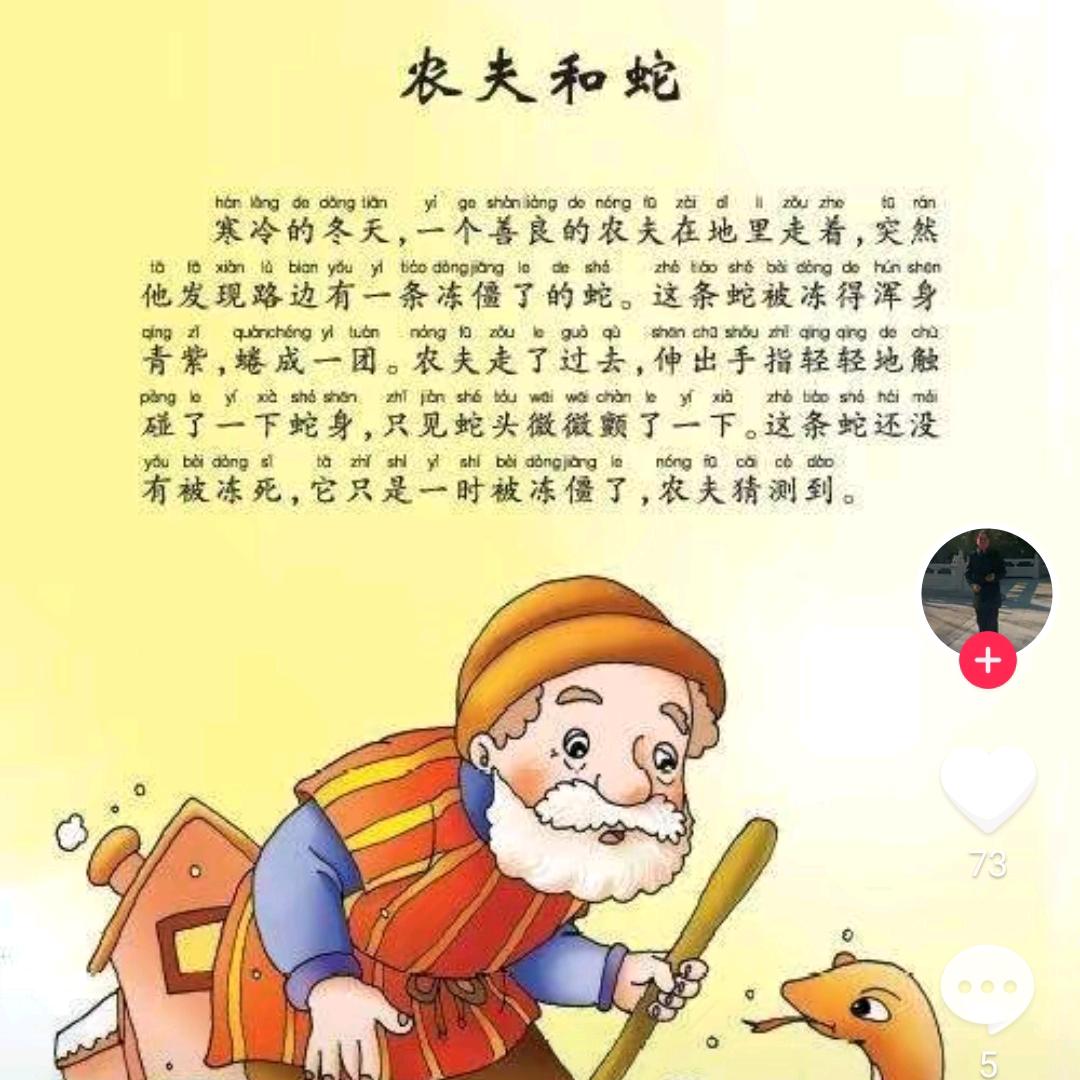 艳飞
