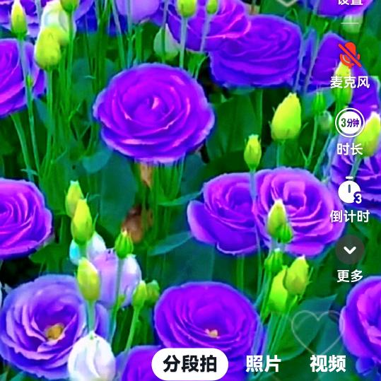 开心每一天🌹🌹🌹