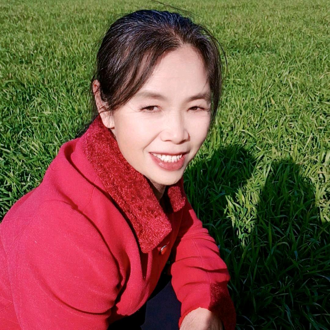 河南张姐早上九点半