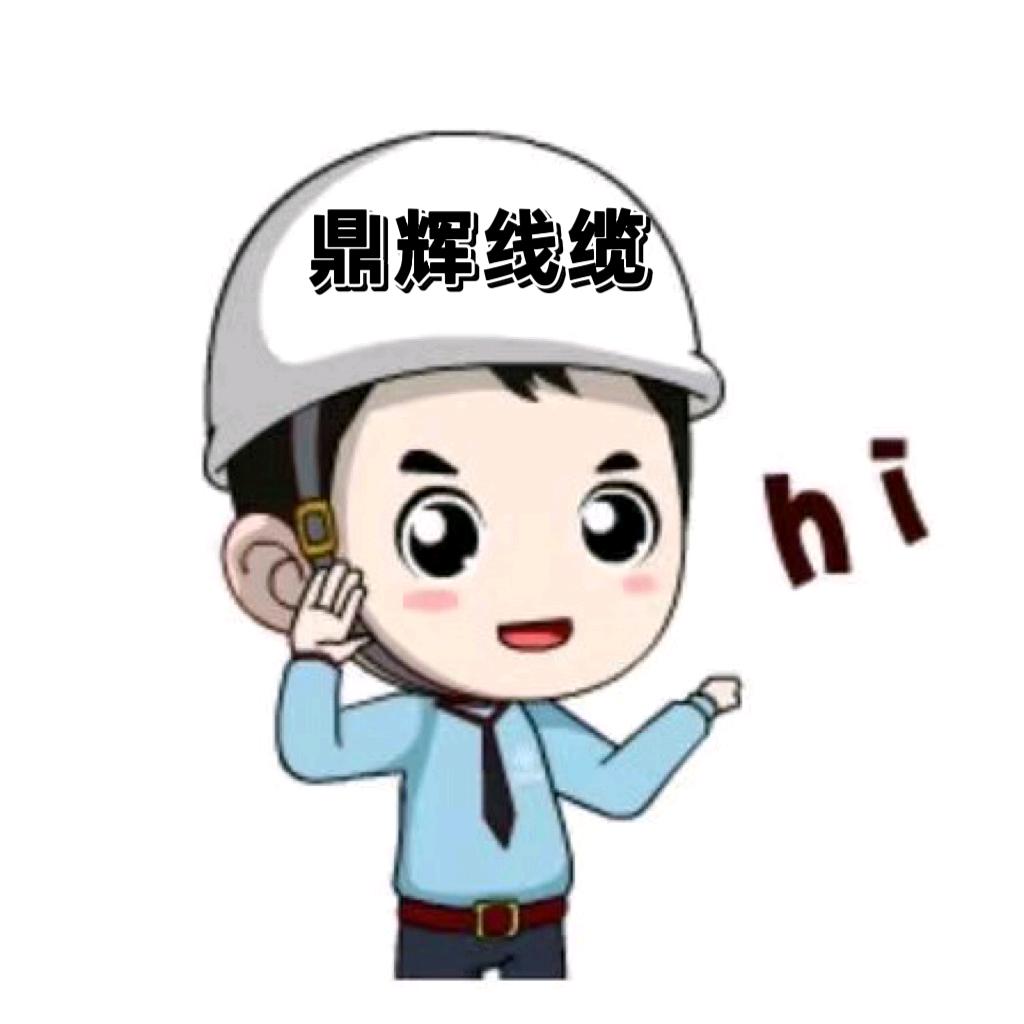 江西电线电缆厂家（鼎辉）