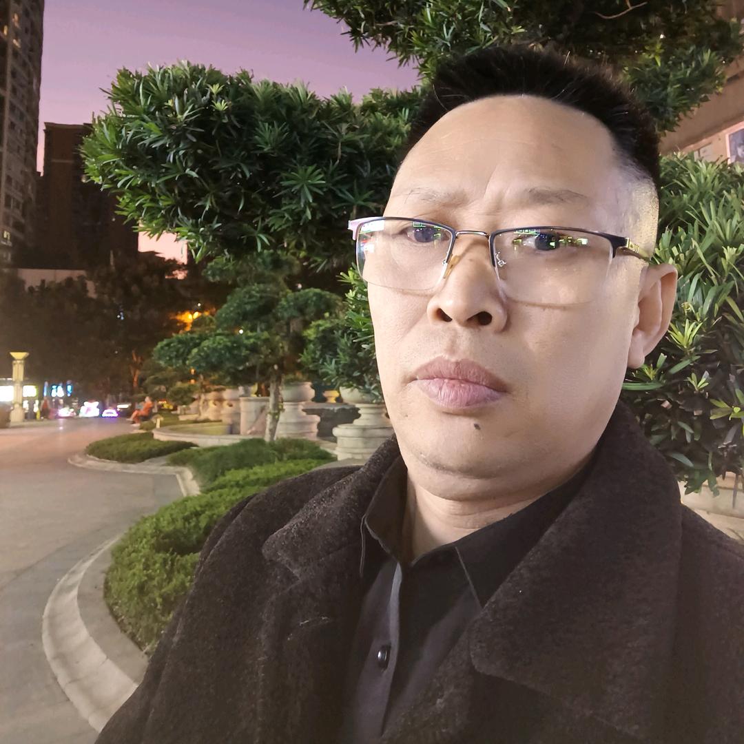 🌲锅不帅🌲