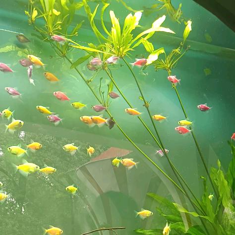 （蒋海燕）别无选择