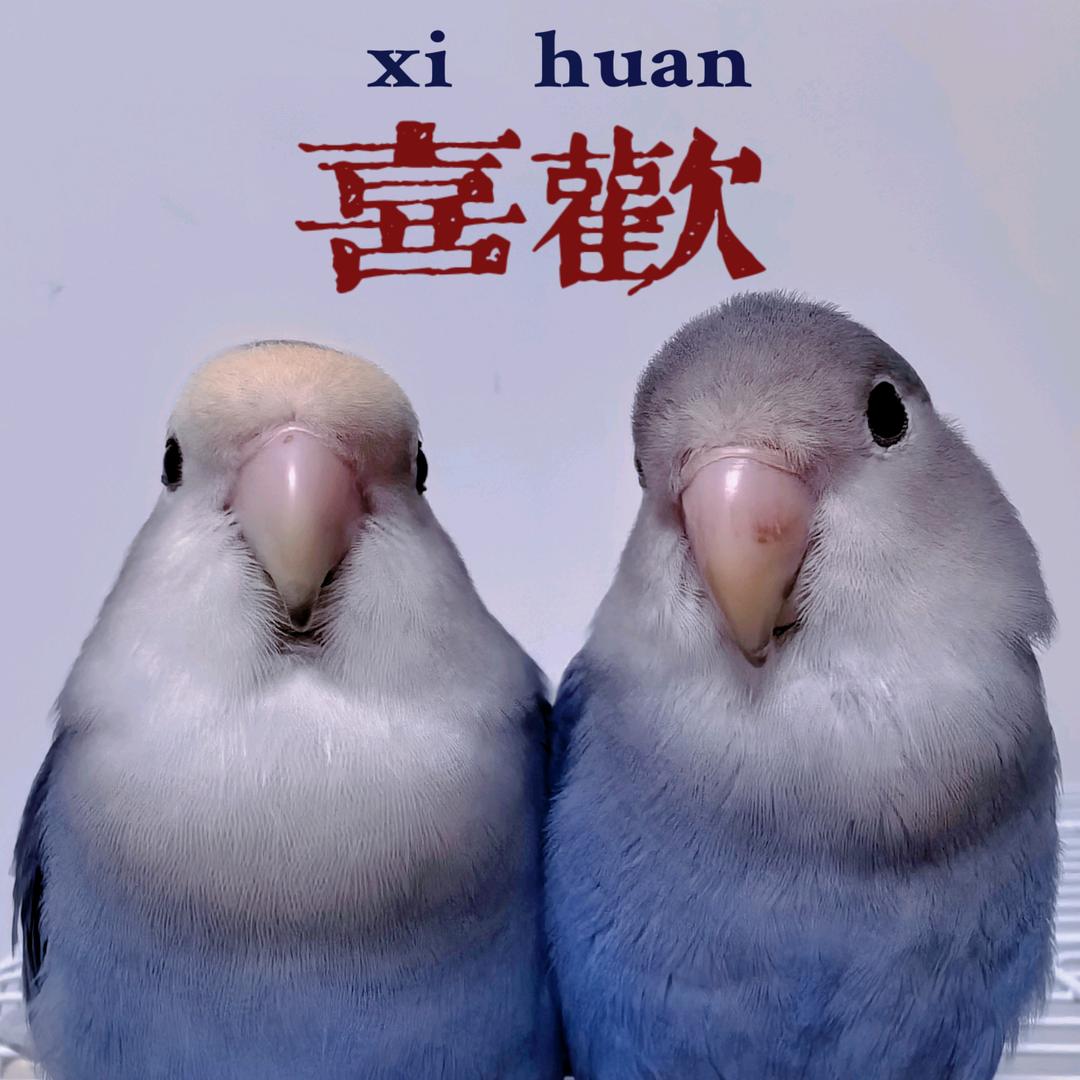 家有鸟宝😙😙