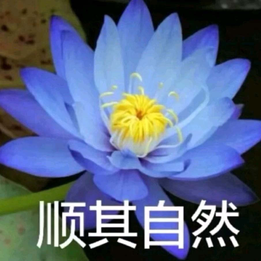 一姐