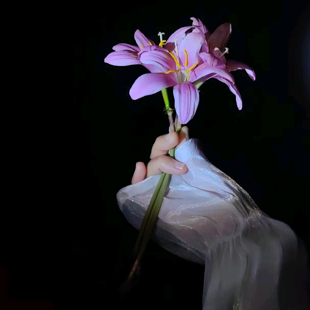 🍀往事🌸清零🍀