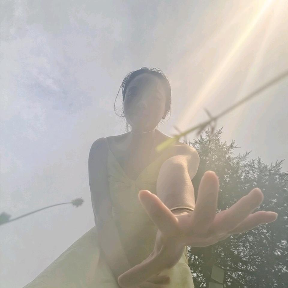 似慵懒怪猫