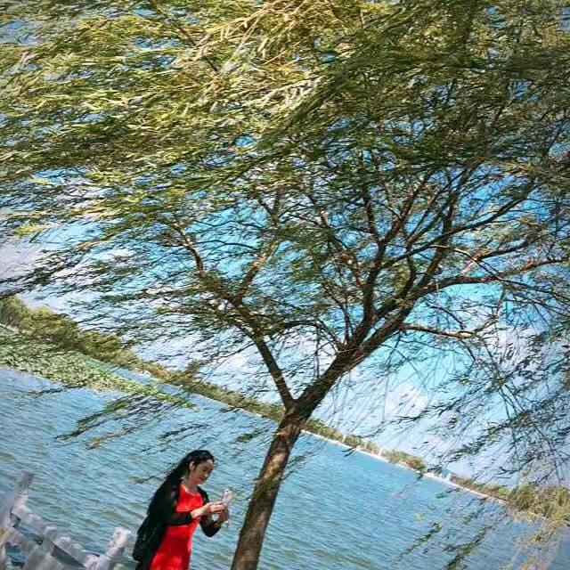 菲菲