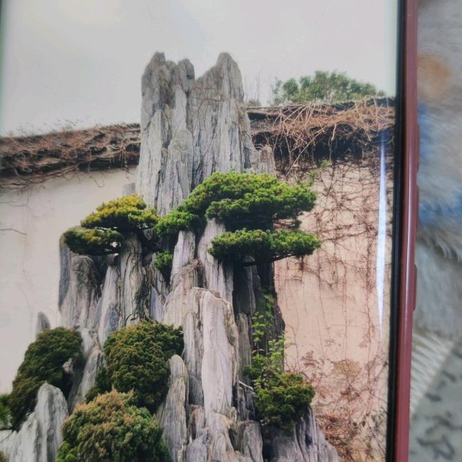 绵阳平姐