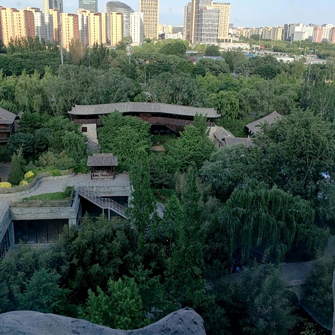 静心动地