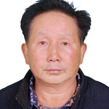 凤凤