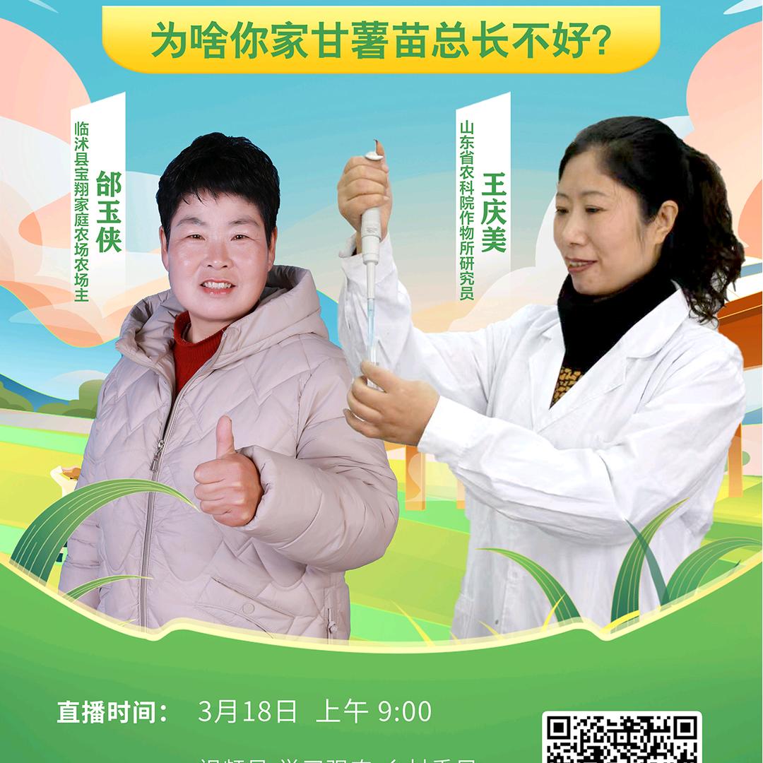红薯大侠姐