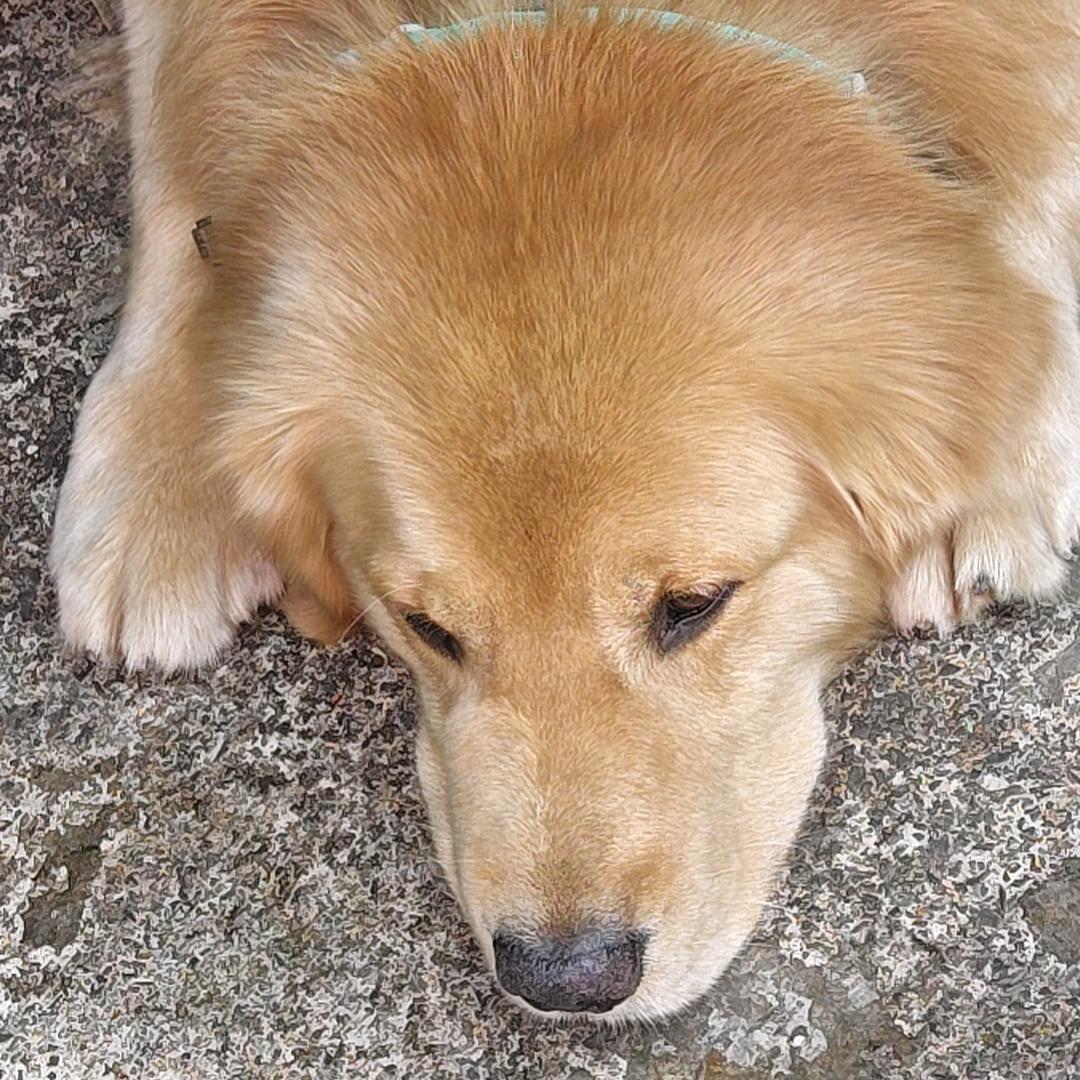 鑫🇨🇳