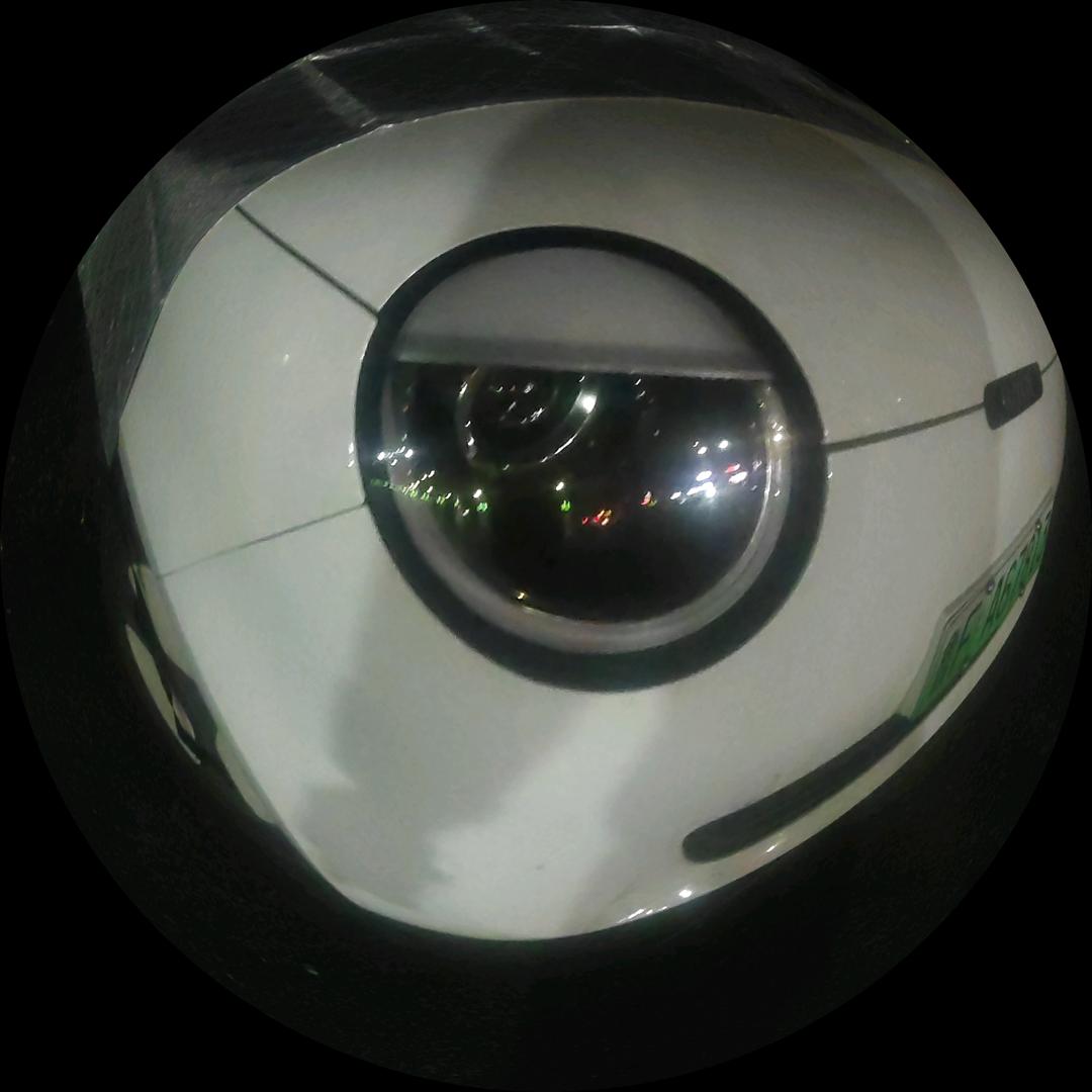 22年跑山溜达鸡