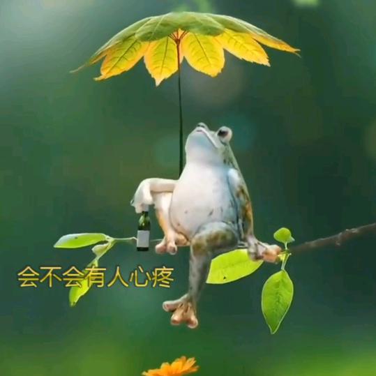 石沉溪洞，洞悉尘世！