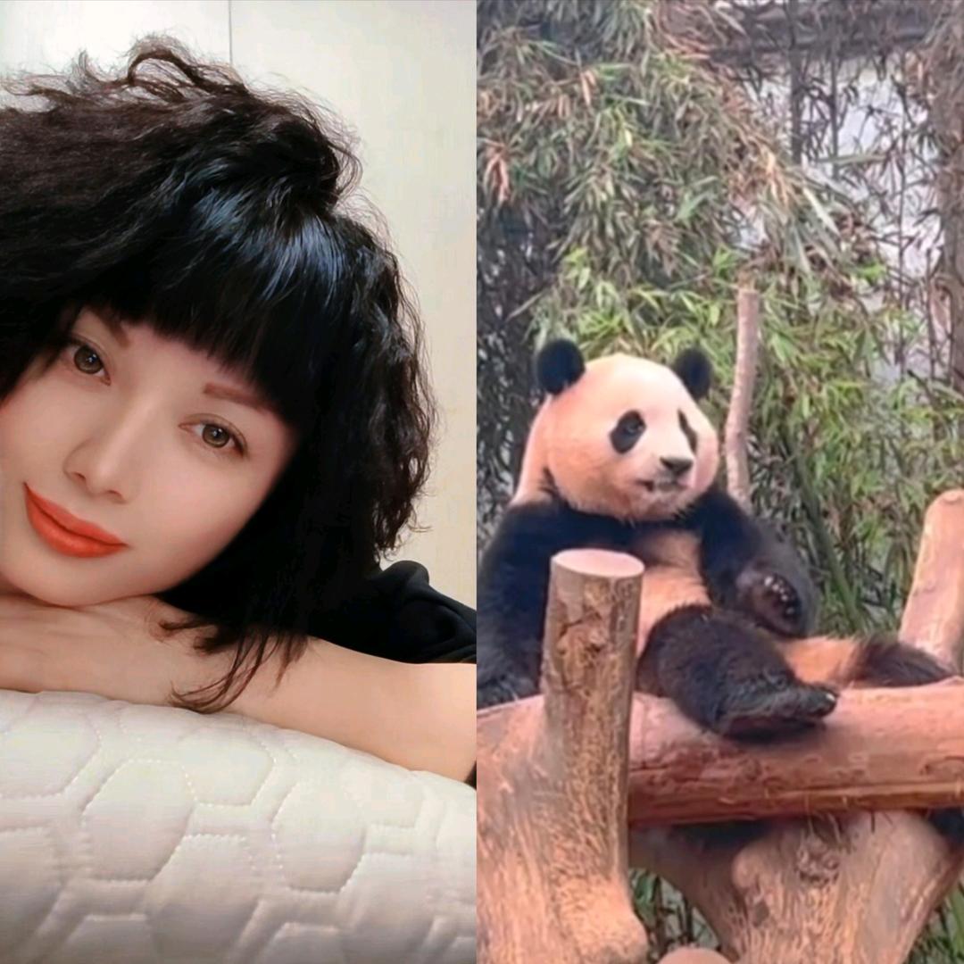 繁花如梦
