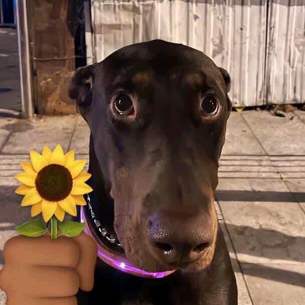 终是心中意难平