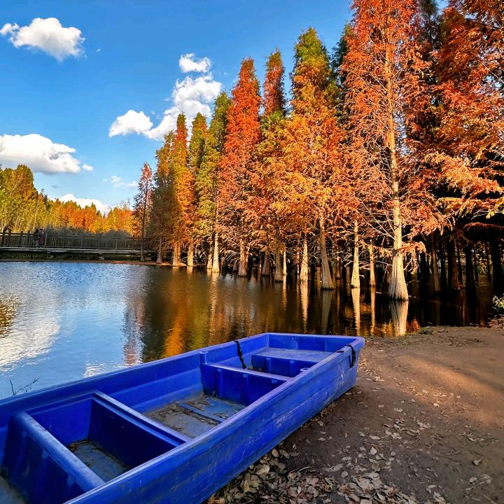 助理号，福利分享