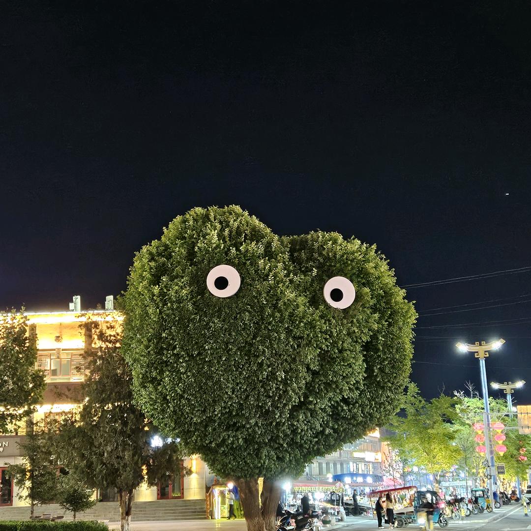 张若余