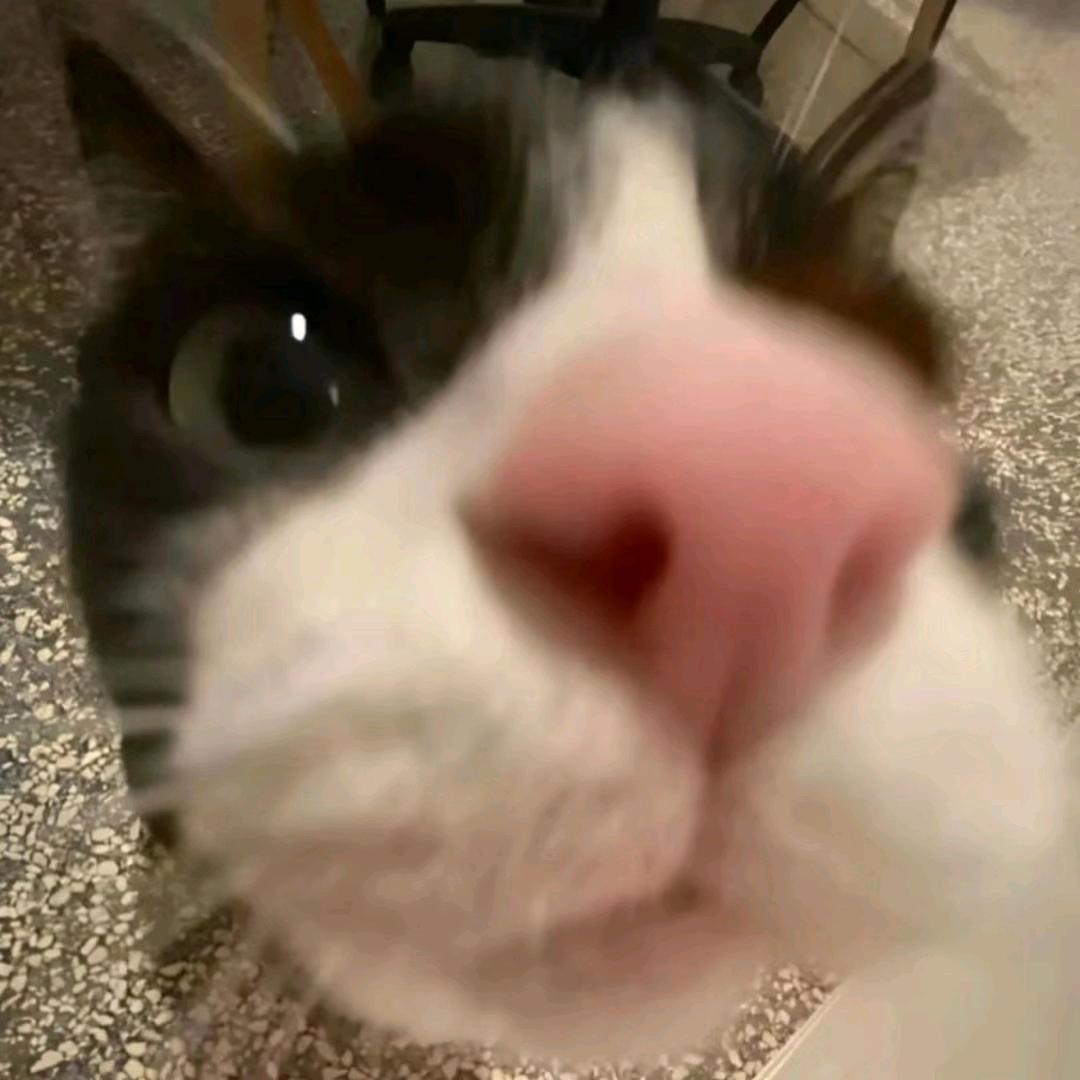 嘿嘿嘿