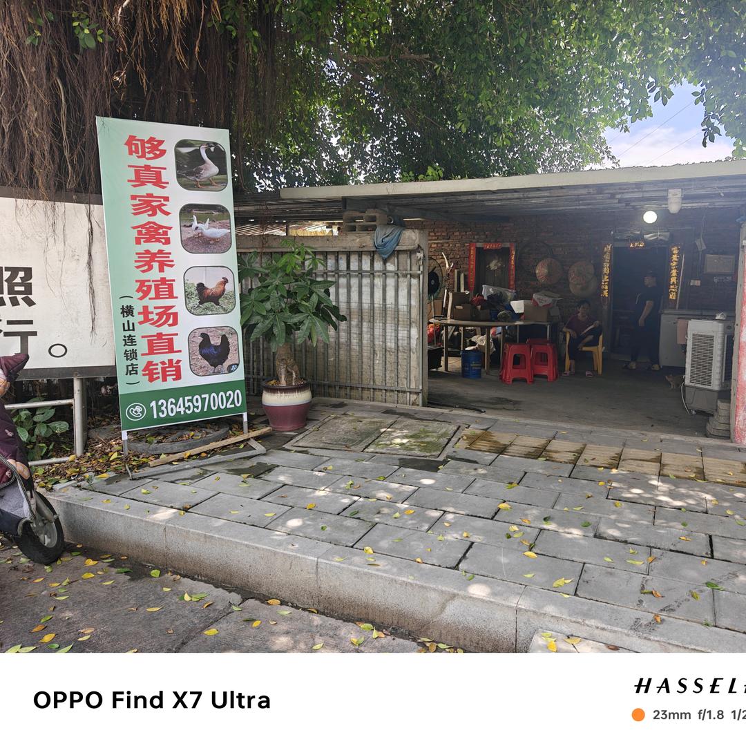 够真家禽直销店