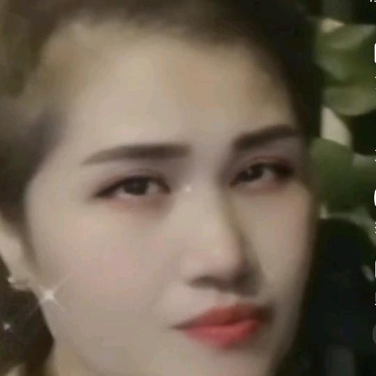 彩蜜蜂，