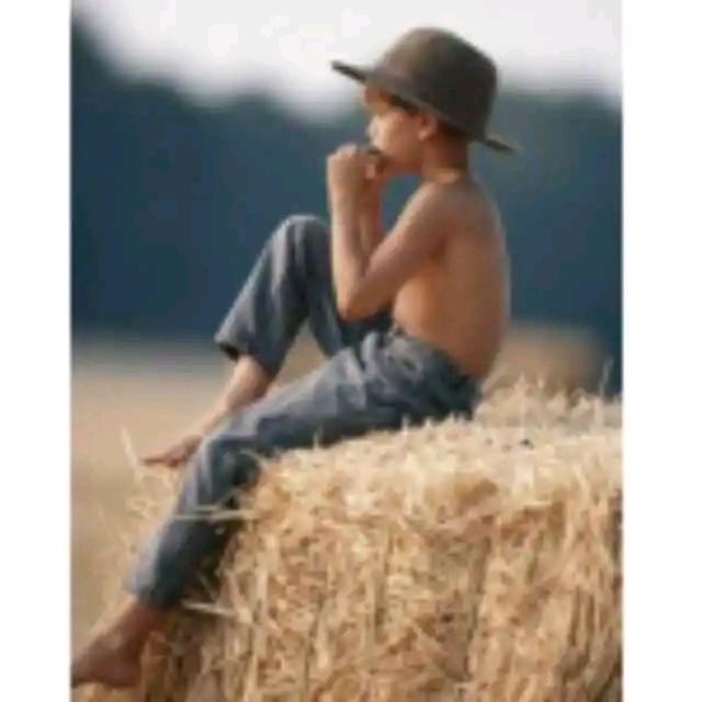 一只面向大海的猫