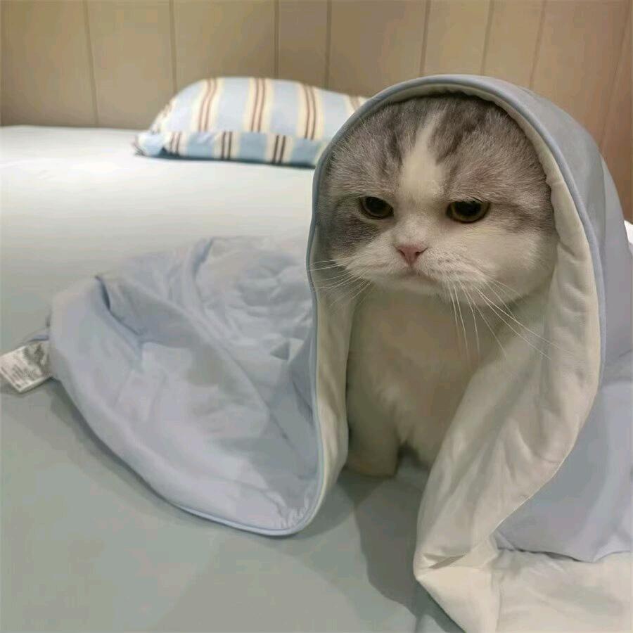 不想