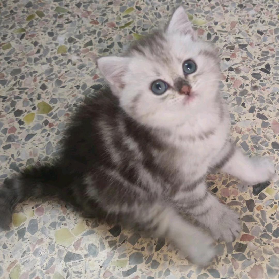 诉说